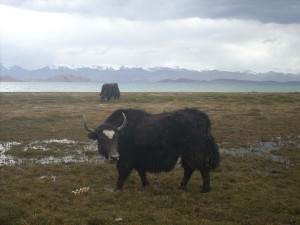 Tadjikistan