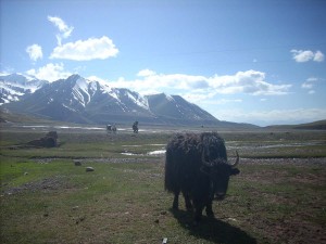 Tadjikistan