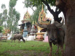 Laos