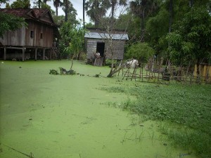 Cambodge