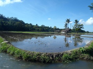 Philippines